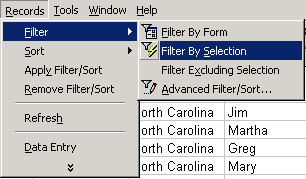 Filter by Selection Option in the Records Menu