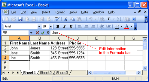 Edit Information in the Formula Bar