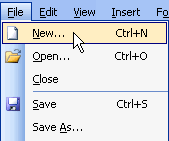 File New Menu Selection