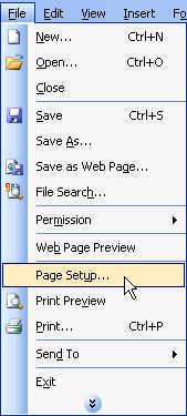 File and Page Setup Menu Selections