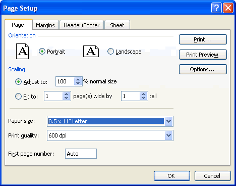 Page Tab on the Page Setup Dialog Box