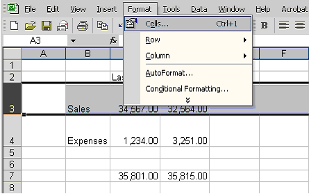 Format and Cells Menu Selections