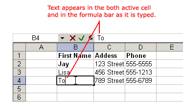 Text Appears in Cell and Formula Bar When Typed