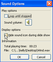 Hide Sound Icon