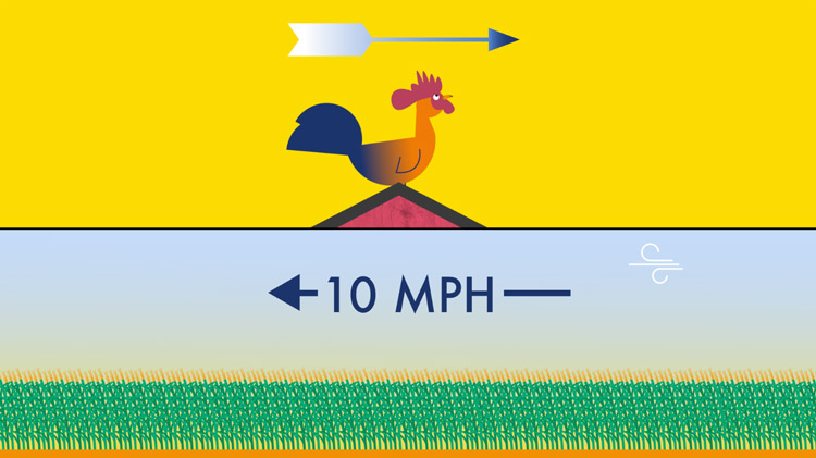 an illustration of a rooster facing east and the wind blowing west at 10mph