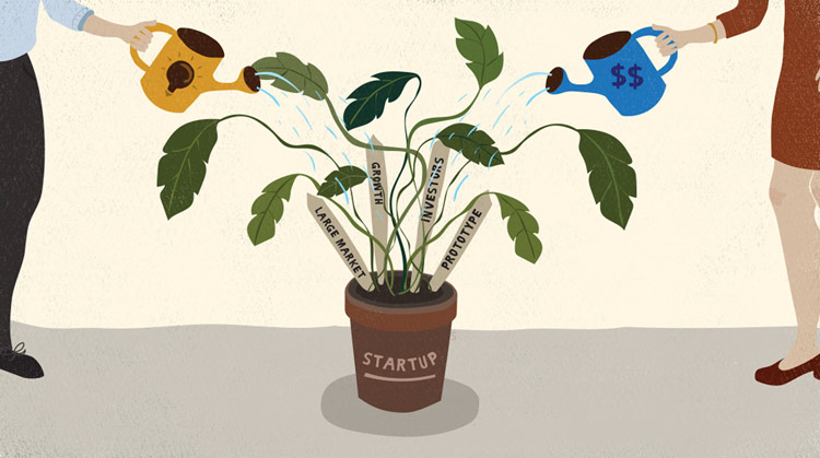 Watering plants to represent startups