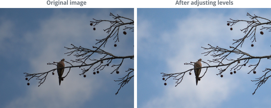 image before and after a levels adjustment