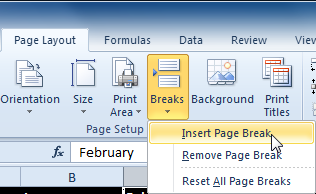 Selecting the Insert Page Break command