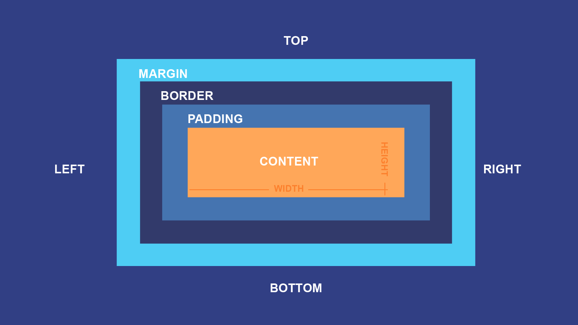 labeled diagram of box model, showing margins, borders, and padding