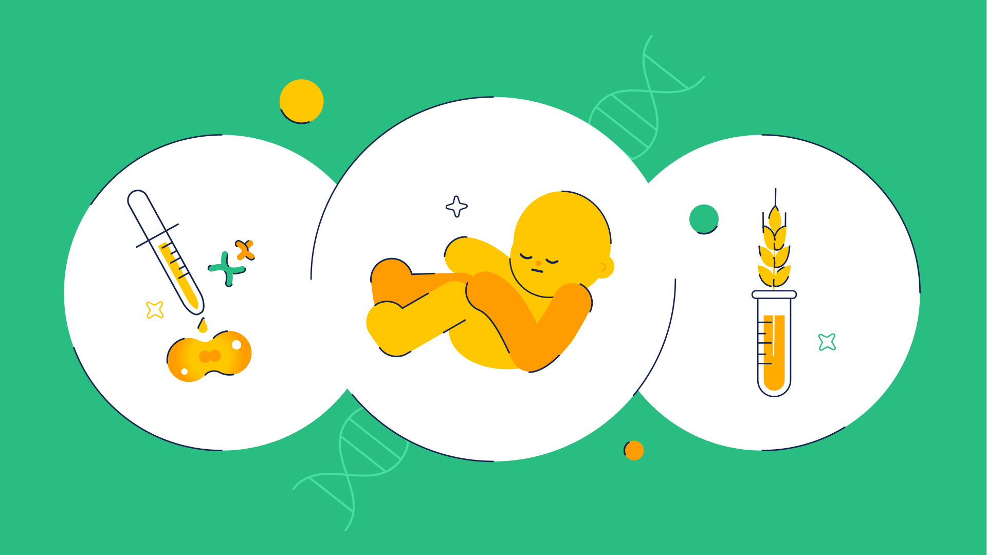 Illustrations of a cell division experiment, an unborn child, and modified crops.