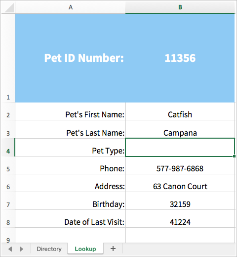 patient lookup