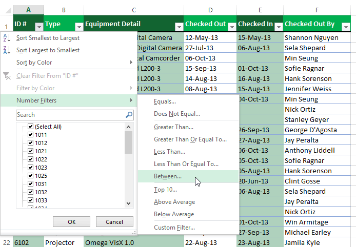 Screenshot of Excel 2013