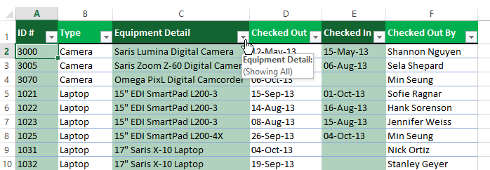 Screenshot of Excel 2013