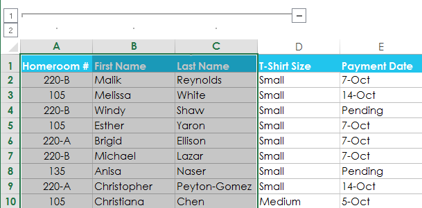 Screenshot of Excel 2013