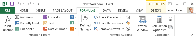 Screenshot of Excel 2013