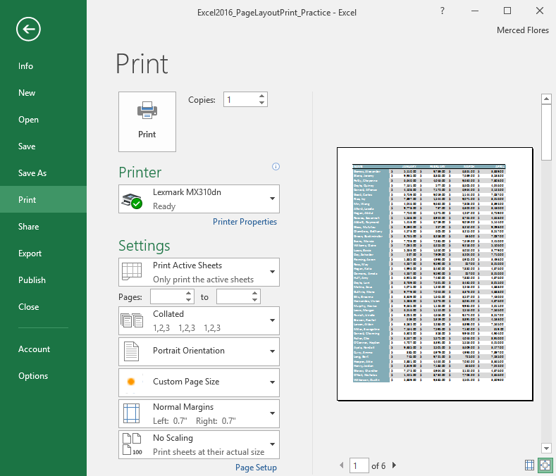 The Print pane