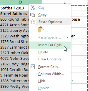 Screenshot of Excel 2013