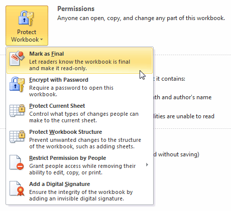 Selecting a Protect Workbook option