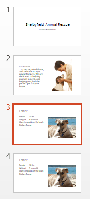 Screenshot of PowerPoint 2013