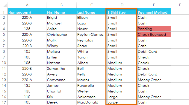 Screenshot of Excel 2013