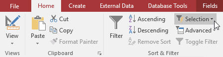 Clicking the Filter by Selection command