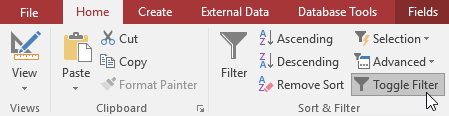 Removing the current filter with the Toggle Filter command