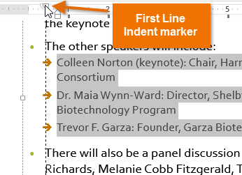 Screenshot of PowerPoint 2013